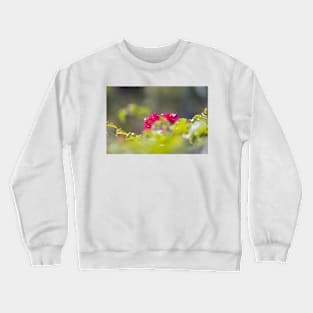 Flowers through the leaves Crewneck Sweatshirt